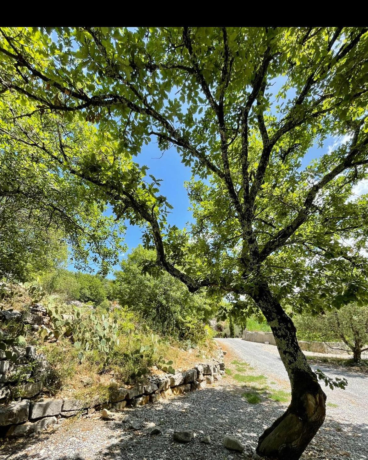 Les Chalets De לאבום מראה חיצוני תמונה